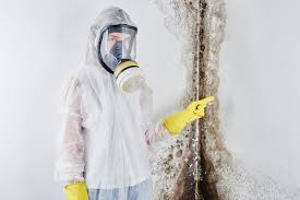 Professional Mold Prevention & Removal  in Fairfax, OH